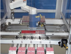 Robotica industrial